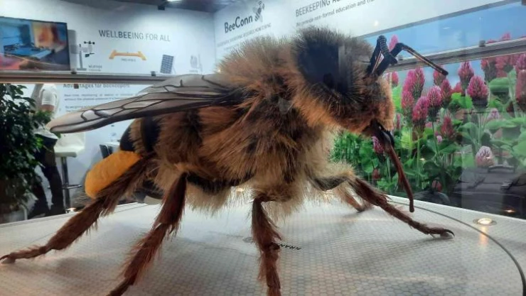 İstanbul'da 47. Dünya Arıcılık Kongresi