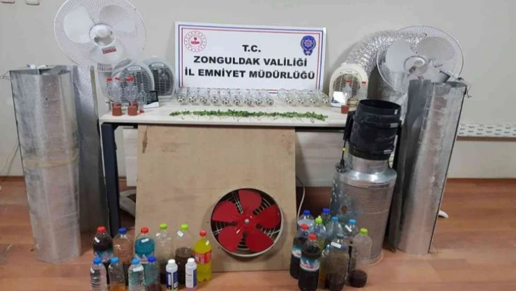 İzinsiz kenevir yetiştiren şahsa gözaltı