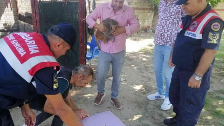 İzmir'de ilginç olay: 2 yaşındaki çocuğun elini maymun ısırdı