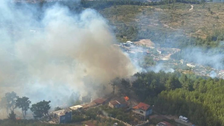 İzmir'de ormanlık alanda yangına havadan ve karadan müdahale