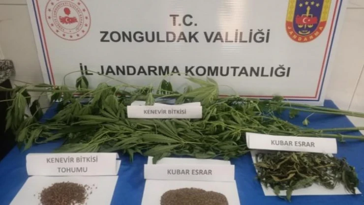 Jandarmadan uyuşturucu operasyonu