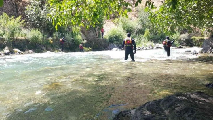 Kayıp hemşireyi arama çalışmaları 51'inci gününde