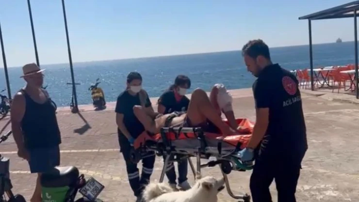 Kendisi için bıçaklanan sahibine köpekten duygulandıran vefa