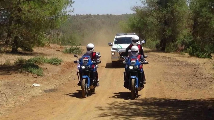Kilis'te ormanlık alanlara havadan denetim
