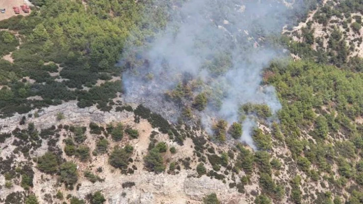 Manisa'da çıkan orman yangınına çok sayıda ekip sevk edildi