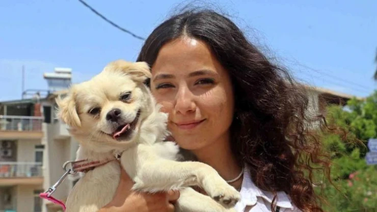 Marketteki köpeğe sebepsiz yere tekme attı, kamera kaydını izleyen genç kadının ağzı açık kaldı