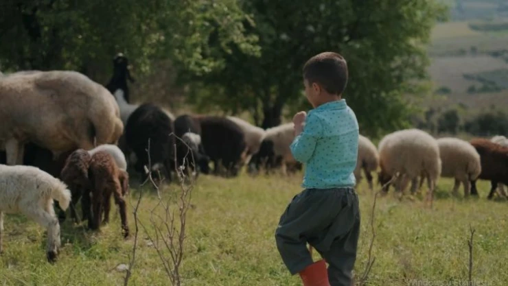 Mersin'de '100 bin gülücük' projesi