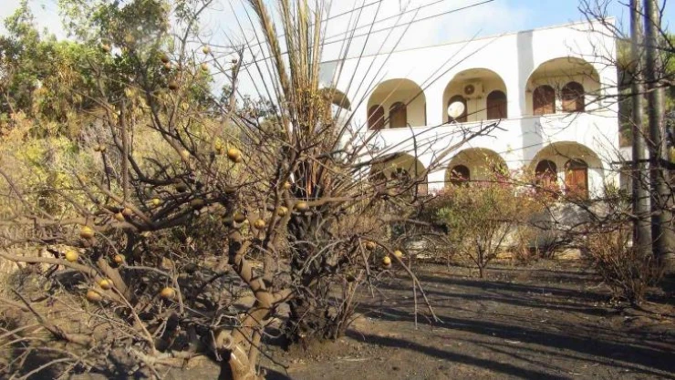Mersin'deki orman yangınlarına müdahale sürüyor