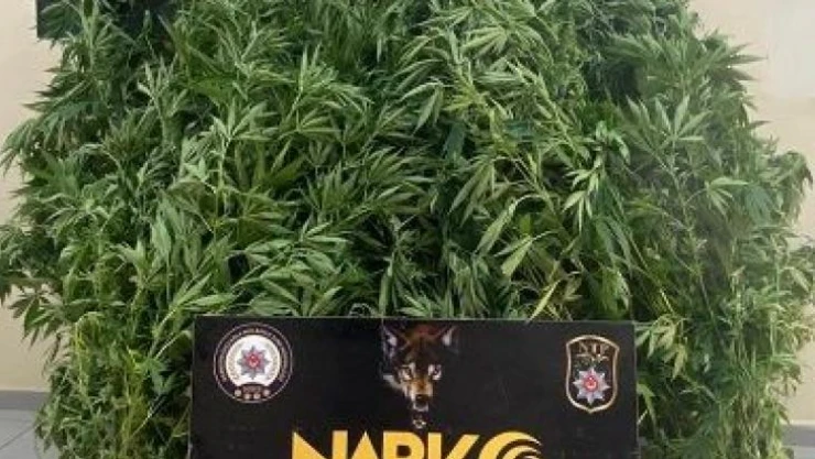 Polisten uyuşturucu operasyonu