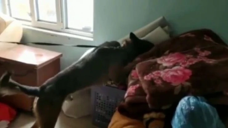 Sakarya'da 3 ilçede uyuşturucu operasyonu: 8 gözaltı