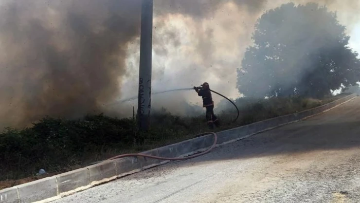 Sakarya'da ormanlık alanda korkutan yangın