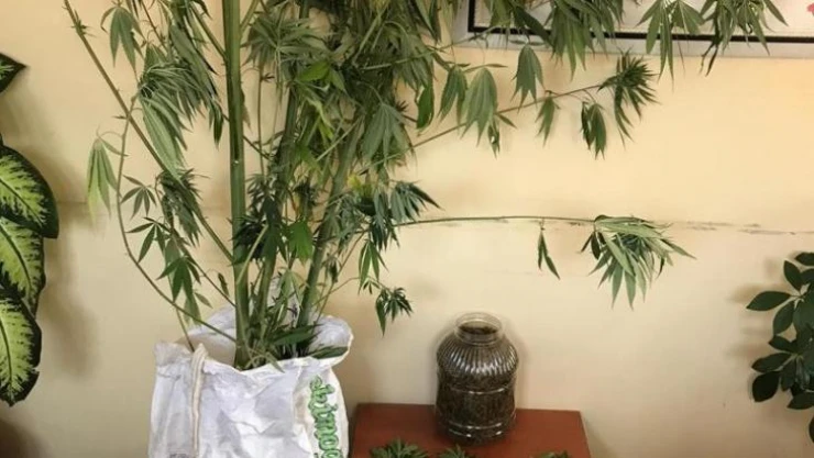 Sakarya'da uyuşturucu operasyonları: 5 gözaltı