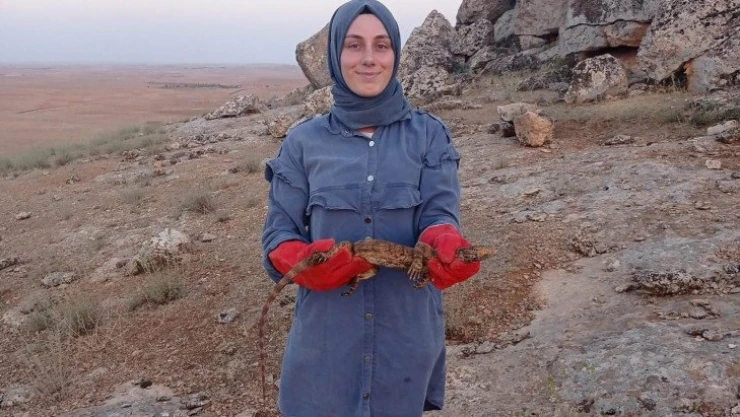 Sarnıca düşen çöl varanı kurtarıldı
