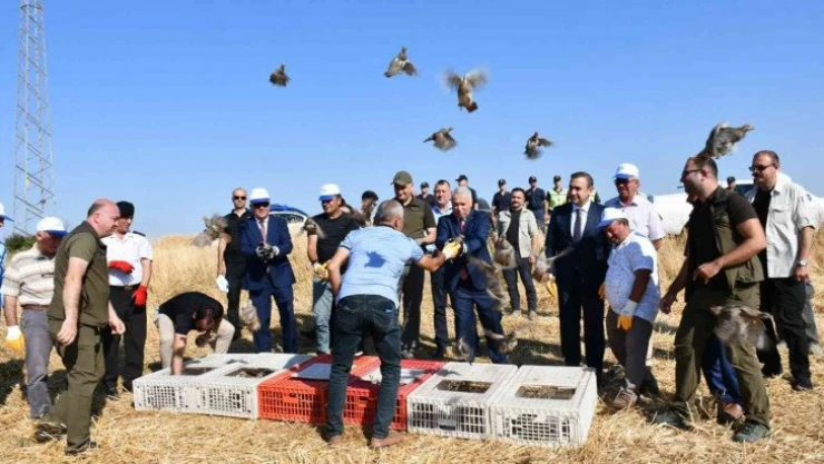 Tekirdağ'ın 40 mahallesinde doğaya 800 keklik salındı