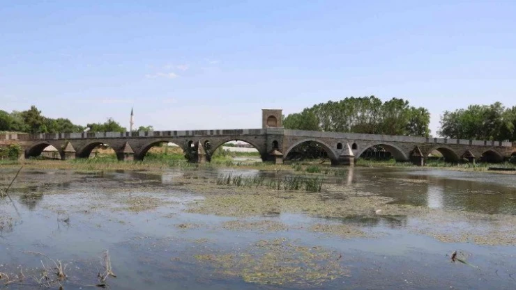 Tunca Nehrindeki debi düşüklüğü su bitkilerinin artışına neden oldu