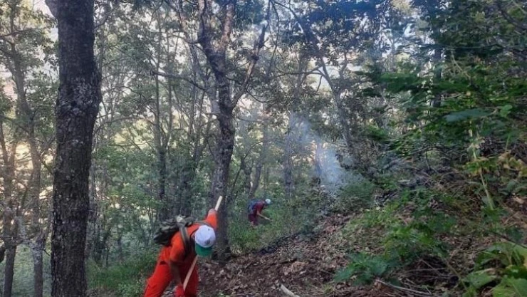 Tunceli'de orman yangını büyümeden söndürüldü