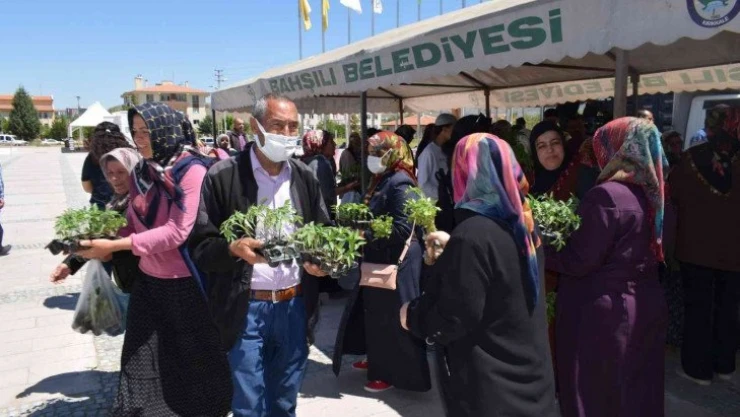 Ücretsiz olduğunu duyan koştu, 16 bin adet sebze fidesi dağıtıldı