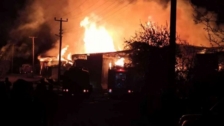 Yalova'da kereste fabrikasında korkutan yangın