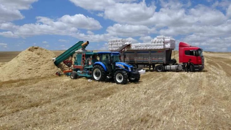 Yozgat'ta saman balyası mesaisi başladı